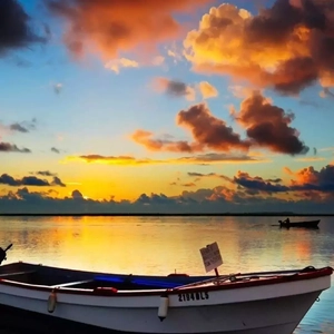 国产福利片在线观看
